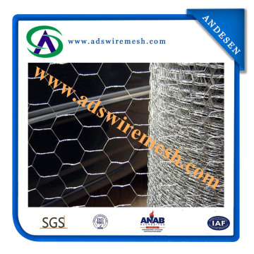 ISO9001: 2008 Grillage hexagonal (ADS-HWM-10)